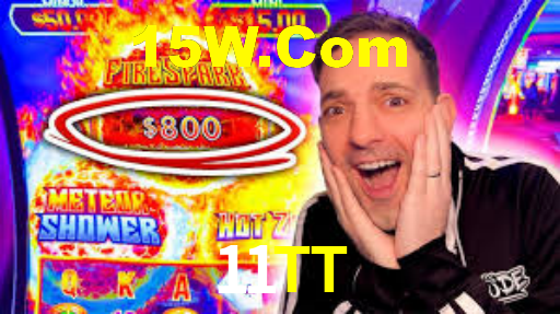 11tt.com